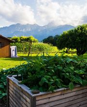 Hänni Gartenbau AG Bild 5