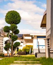 Camping-Seeblick AG Mosen Bild 12