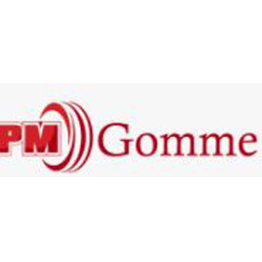 Pm Gomme logo