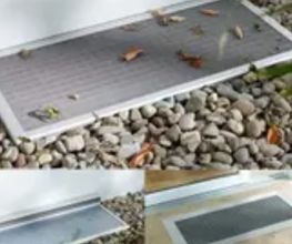 Insekta Schädlingstechnik GmbH Bild 3