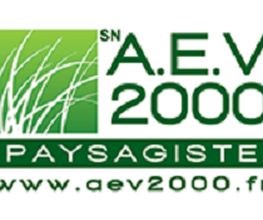 AEV 2000 image 4
