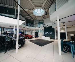 STERNAUTO Bild 4