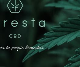 Foresta CBD and More imagen 8
