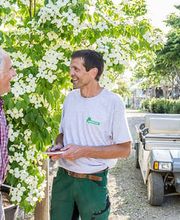 Bernhard Baumschulen AG Bild 8