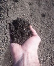 AgrEcoPaillage image 9