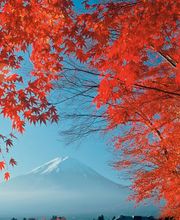 Explorer Reisebüro München Bild 1