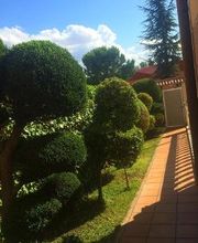 Jardinería FG imagen 18