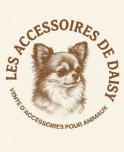 Les accessoires de Daisy image 1