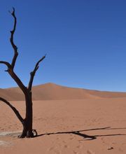 Reisebüro Zeilinger AG Bild 9