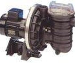 Feli image 3