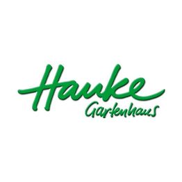 Blumen Hauke