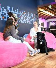 Digible Inc. image 16