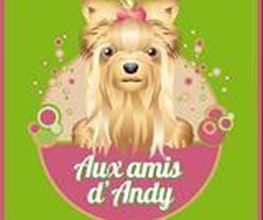 Aux Amis D Andy image 2