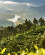 itravel Group Bild 8