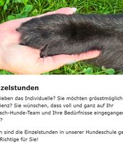 Sundogs Hundeschule Bild 3