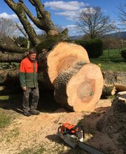 Des Racines à la Cime image 9