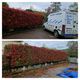 Sud Ouest Services