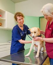 Tierklinik Rossweid AG Bild 11