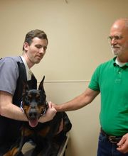 Archer Veterinary Clinic image 18