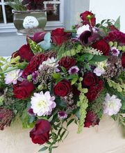 Blumen Vergissmeinnicht Bild 5