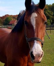 Ruitersportcentrum Seurenheide