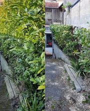 La Clé des Jardins image 6