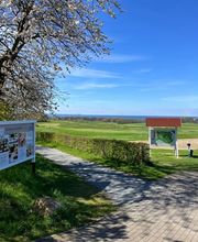 Reethaus Svantevit - Ferienhaus Bild 4