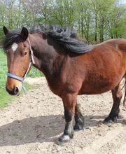 Lippold Stiftung Bild 2