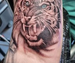 Tattoo Time Stade Bild 5