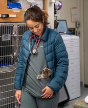 Santa Monica Pet Medical Center image 14