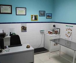 clinica-veterinaria-jayda-consultorio-03.jpg