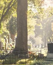 Bestattungshaus Schönfeld GmbH Bild 11