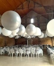 David Ballon Evolution image 3