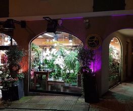 Exotica image 17