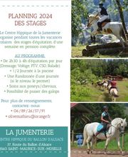 Centre Hippique la Jumenterie image 10
