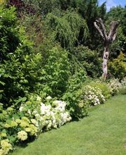 Paysagiste Beauvais (Oise) : terrasses, allées, plantations, clôtures, carports, parking drainant image 10