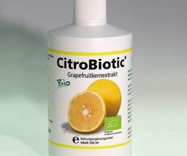 Praxis natürliche Harmonie Bild 4