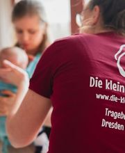 Die kleinen Traglinge Bild 5