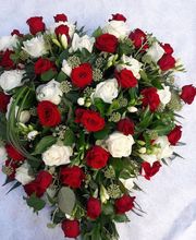 Bruckner Anne Marie image 9