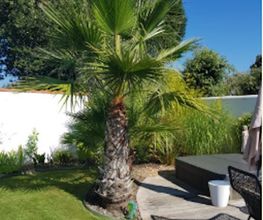 Max Paysages image 1