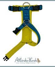 Altländer Hunde Bild 6