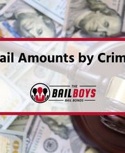 The Bail Boys Bail Bonds image 8