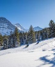 Jungfrau Ski Region - Kleine Scheidegg - Männlichen - Wengen Bild 3
