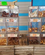 Animalia Seudre Nutrition image 6