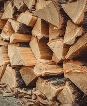 Société Forestière de l'Orient image 1