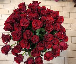 Blumen-Ecke Romana Hoss Bild 7
