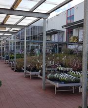 HELLWEG - Die Profi-Baumärkte Bonn-Duisdorf Bild 3