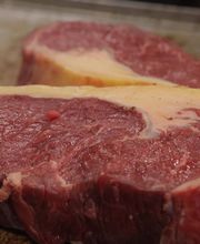 TRANSGOURMET image 11