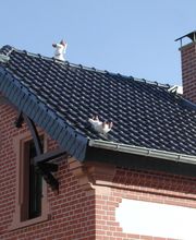 Martin + Bach GmbH & Co.KG Bild 13