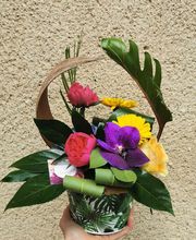 Floranthea SARL image 12